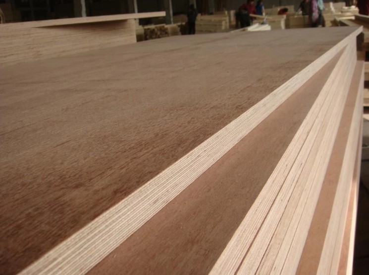 Bintangor Plywood