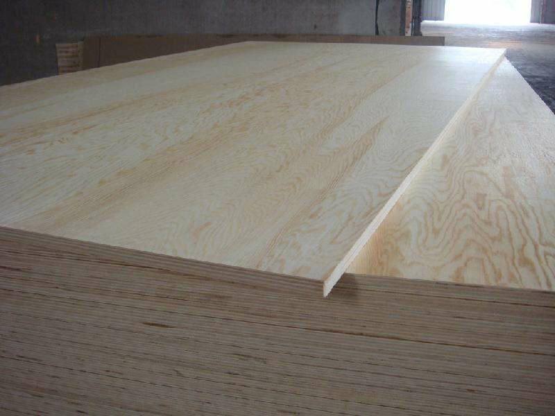 Pine Plywood