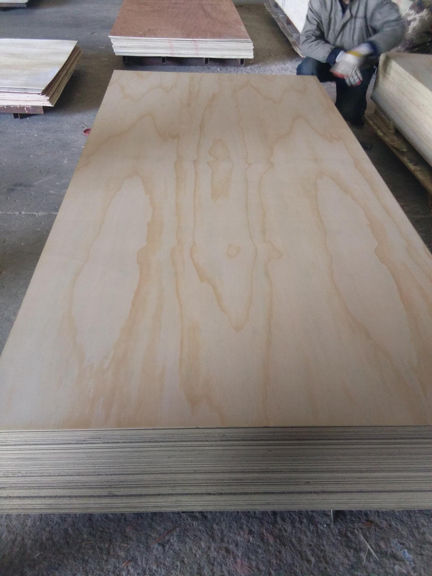 Pine Plywood