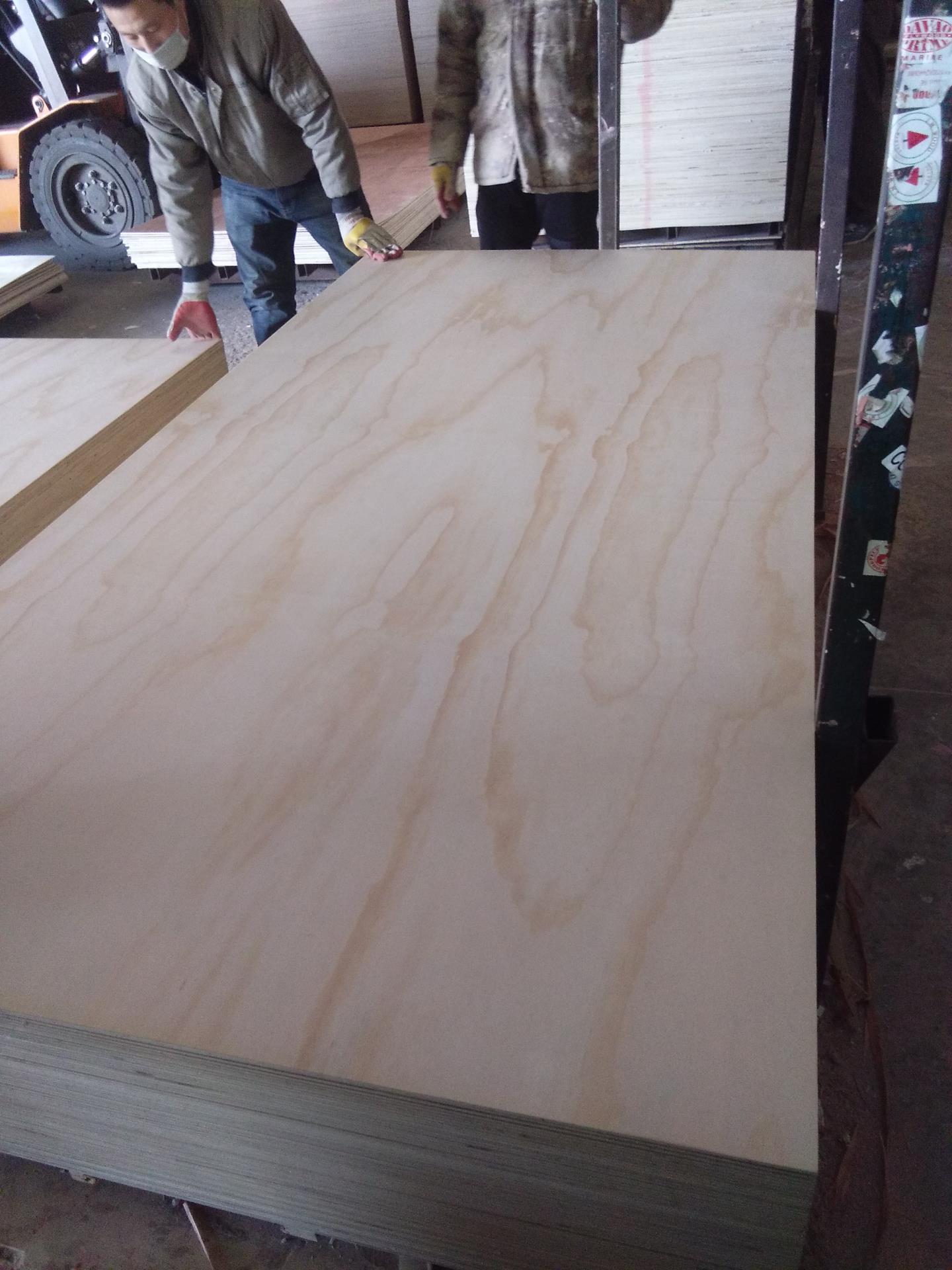 Pine Plywood