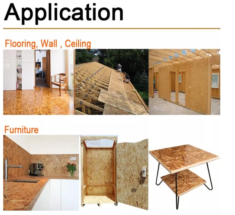 Application-1.jpg