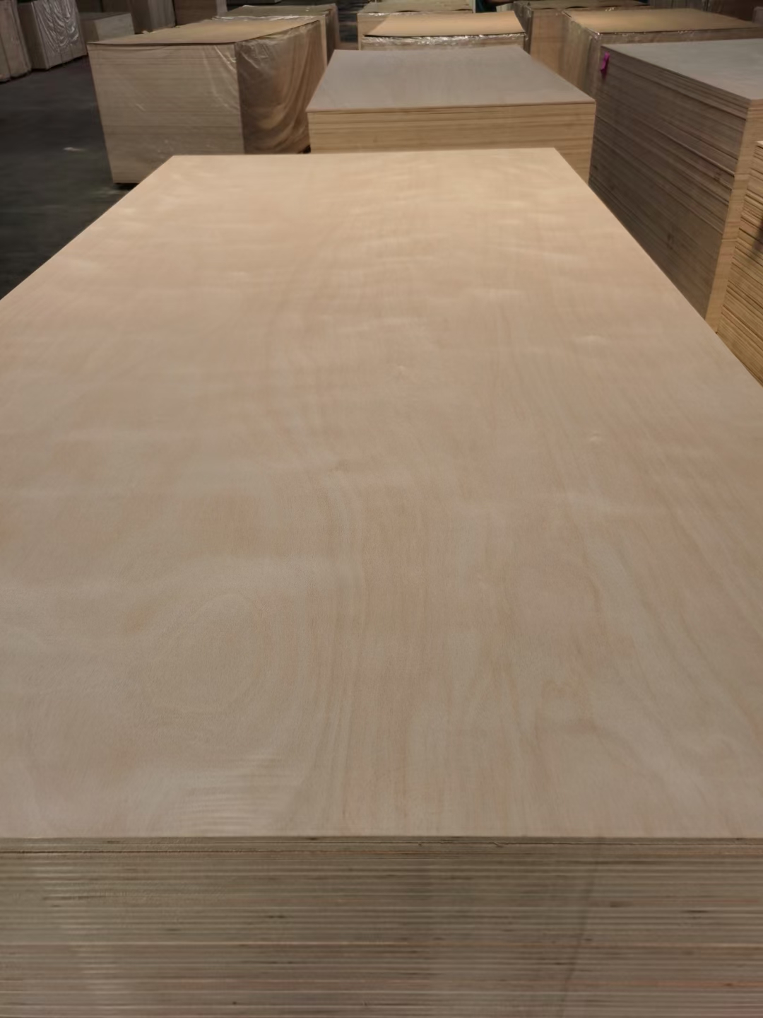 Bintangor Plywood