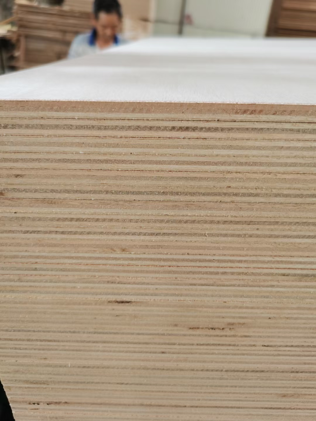 Bintangor Plywood